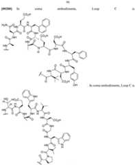 Figure imgf000091_0001