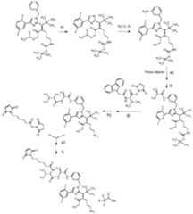 Figure imgf000236_0001