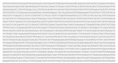 Figure imgf000037_0002