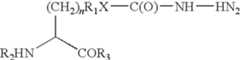 Figure US08114630-20120214-C00047