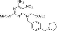 Figure BDA0000075082050000993