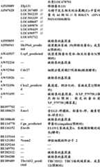 Figure BDA0000057170160000621