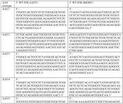 Figure imgf000063_0002