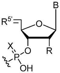 Figure imgf000051_0001