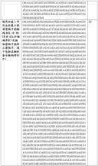 Figure BDA0002508391090001041