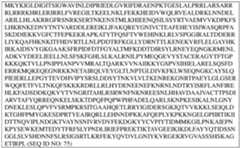 Figure imgf000186_0002