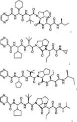 Figure A0181505502501