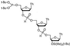 Figure imgf000052_0002