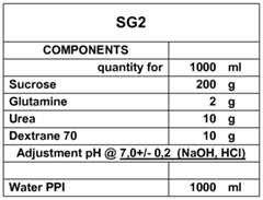 Figure imgf000019_0001