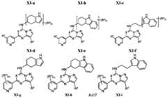 Figure 0007232244001054