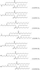 Figure BDA0001702061020001201