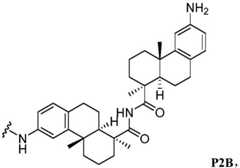Figure BDA0002889616220000582