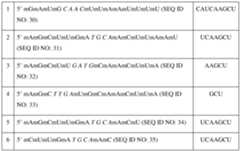 Figure imgf000073_0001