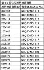 Figure BSA0000137273090000262