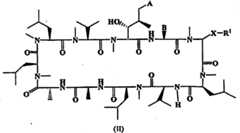 Figure FPA00001287625300091