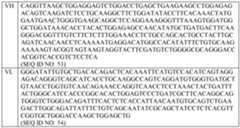 Figure imgf000043_0001