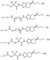 Figure imgf000051_0001