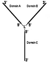 Figure imgf000031_0001