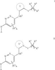 Figure US07547782-20090616-C00133