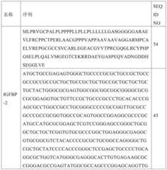 Figure GDA0002731146240002261