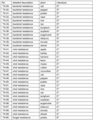 Figure imgf000079_0001