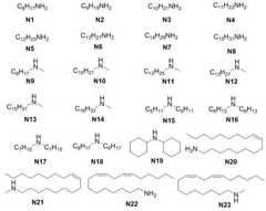 Figure DEST_PATH_IMAGE006