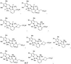 Figure 2024516191000071