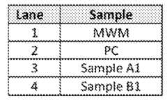 Figure imgf000022_0001