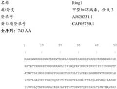 Figure BDA0004078918960001001