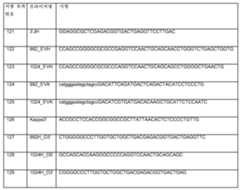 Figure 112011022855042-pct00020