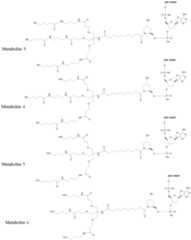 Figure imgf000536_0001