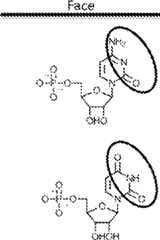 Figure AU2019202835A1_D0261