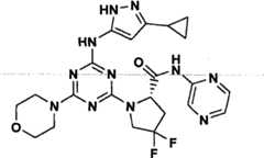 Figure GPA00001066806500992