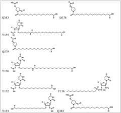 Figure BDA0003746740800002661