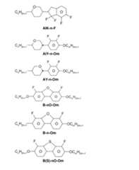 Figure 2024079817000088