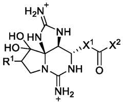 Figure imgf000024_0001