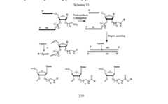 Figure imgf000241_0002