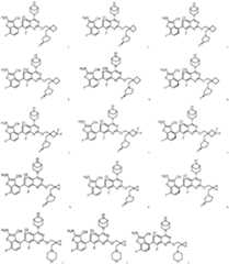 Figure PCTCN2022136857-appb-100001