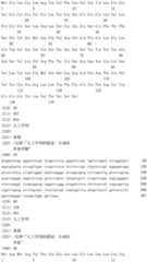 Figure IDA0003164346520000211