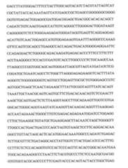 Figure 109103078-A0101-12-0118-91