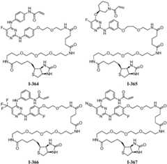 Figure BDA0001453135130001261