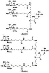 Figure PCTCN2019128686-APPB-100022