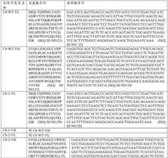 Figure BDA0003084934070000252