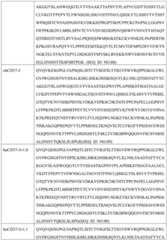 Figure GDA0002332994560000351