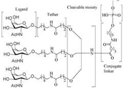 Figure imgf000068_0001