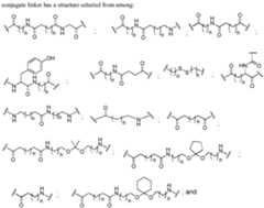 Figure imgf000018_0001
