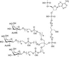 Figure AU2017203436B2_D0210