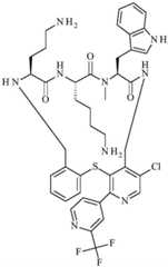 Figure BDA0001640213710005311