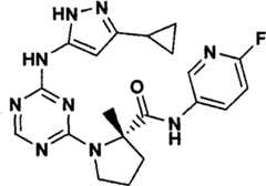 Figure GPA00001066806500421