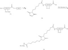 Figure US10835578-20201117-C00177